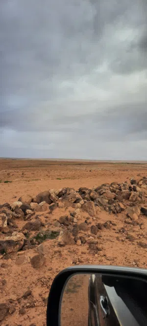 Farm Land for Sale in Bethlehem Other