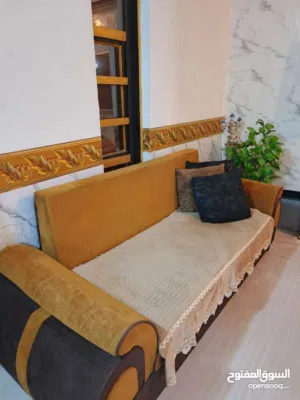 تخم قنفات للبيع