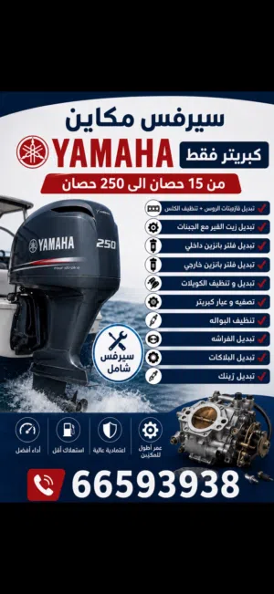 سيرفس مكاين