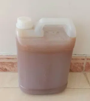 لدينا جميع انواع العسل البلدي والسمن البلدي عسل الشرط مضمون 100%