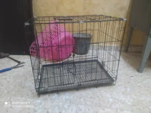 قفص حيوانات للبيع