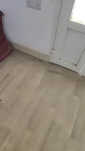 ‏1 م٢ ‏.‏ المالك‏1