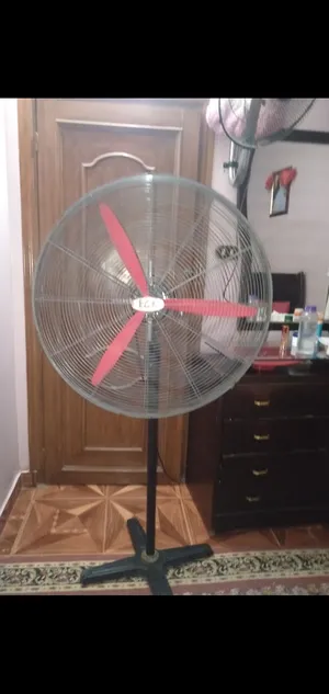 Fans . Used2