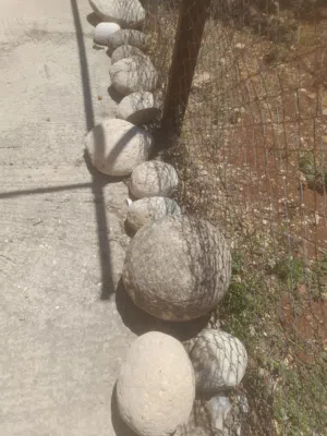 حجارة للحدائق بأشكال جميلة