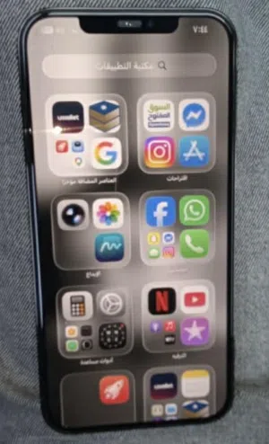 Apple iPhone 12 Pro Max 256 GB in Amman