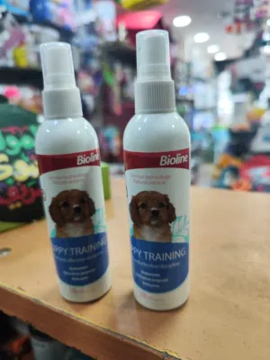 مش عارف تدرب الكلب وين يوسخ ؟ الحل عنا تابع الريلز