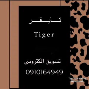 تايقر تسويق الكتروني