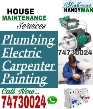 Plumbing and Electric