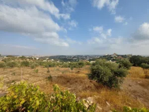 أرض في اجمل مناطق بدر الجديدة حوض الميسر ذات اطلاله عاليه