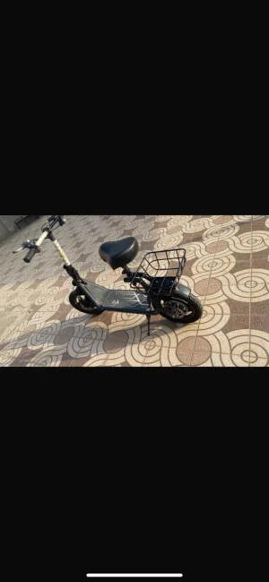سكوتر مقاس 14