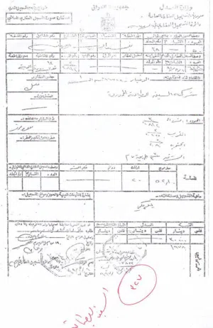 ارض صناعية في بغداد الجديدة