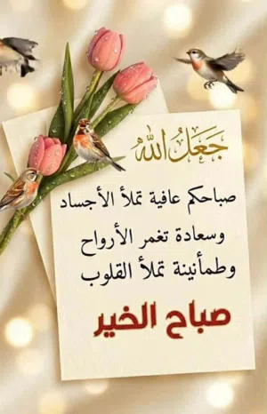 الي يبي يكمل قراية جامعة معهد عالي ومتوسط