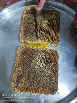 عسل بالجملة لأصحاب العطارة و المصانع فقط عسل مفروز و بالشمع براويز فقط
