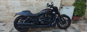 Harely Davidson Night rod special 2012  عداد 19 الف كيلو فقط