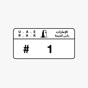 لوحات مميزة،لوحات،لوحات رأس الخيمة