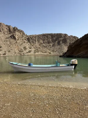 25 الفيروز موديل 22