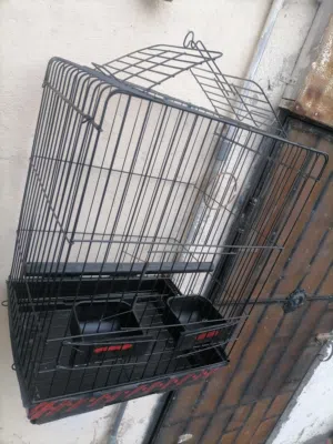 موجود قفس ببغاء حجم كبير للبيع السعر 13 دينار