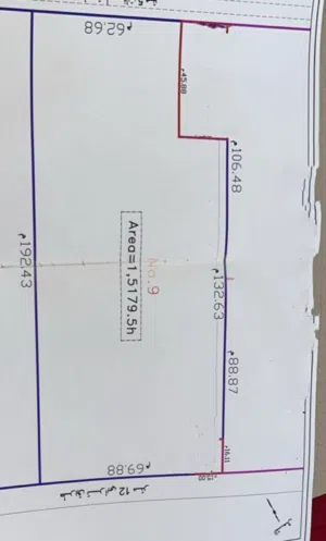 هكتار ونص بين النواقية و بودريسة