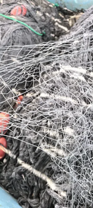 ليخ تساعي للبيع