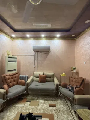 تخم قنفات تركي 8 نفر