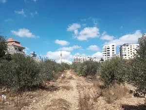 Mixed Use . 694 m2 . Landlord4