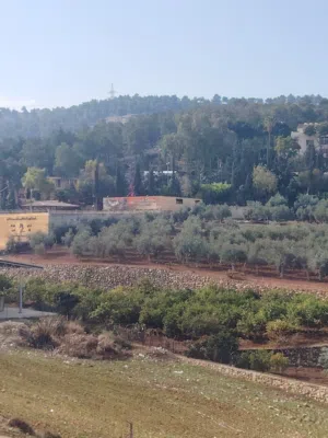 Farm Land for Sale in Jerash Tal Al-Rumman