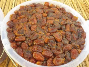 تمر أبو نارنجة وجبري