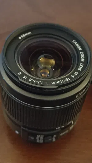 canon 250d