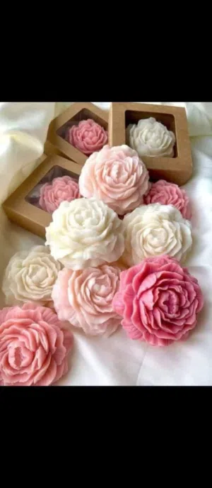 zaina youset 