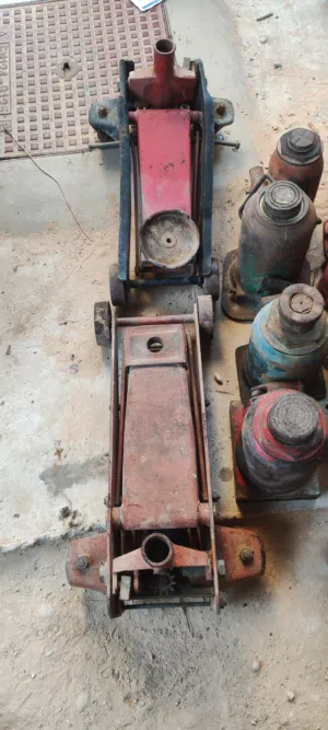 كريكات وكمبرسوريات