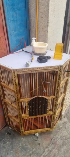 قفص بلابل ارتفاع 120عرض60×60 قفص قوي كلش حلو