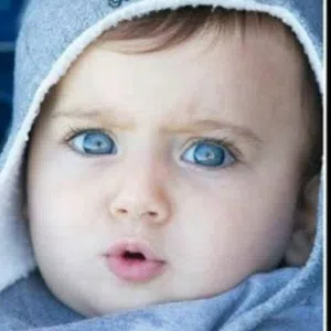 مهند محمد يوسف 