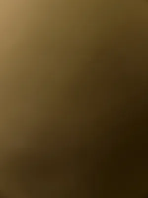 مطلوب ايفون 14 برومكس مسكر ايكلاود