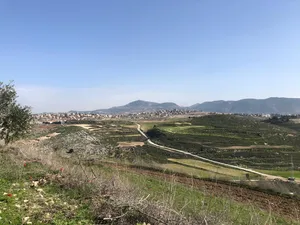 ارض سكني للبيع بالكفور جنوب لبنان