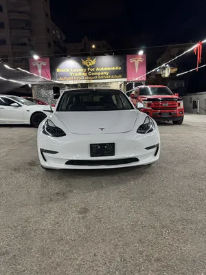 Tesla Model 3 Long Range Dual Motor ( Premium) 2021