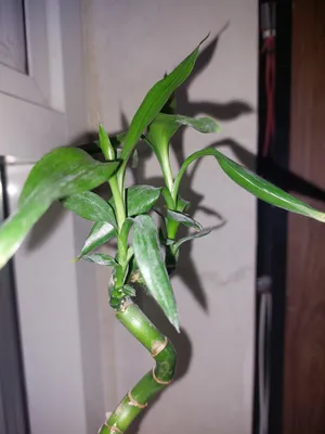 More than 6 bedrooms . More than 6 bathrooms . 1000 m24