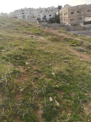 قطعة أرض للبيع في المرقب