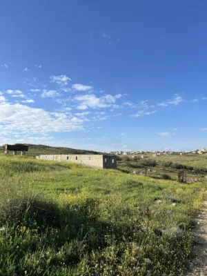 Farm Land for Sale in Madaba Al-Faisaliyyah