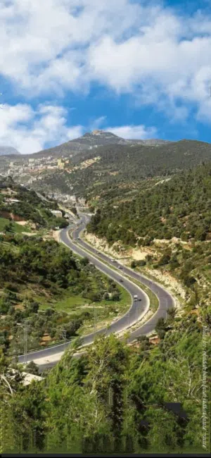 احمدالقضاه 