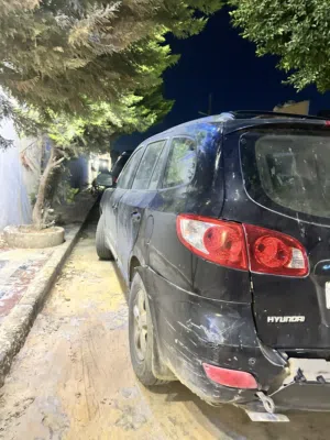 هيواندي سنتافي 2007