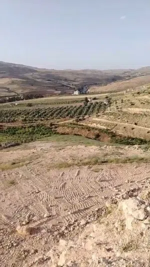 العالوك ارضي الزرقاء المسره قرب صروت وطريق جرش الزرقاء 21ألف لكامل القطعه يا بلاش منطقة فلل ومزارع