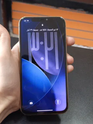 Apple iPhone 12 Pro Max 128 GB in Amman