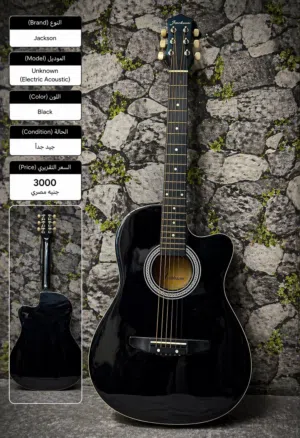 Acoustic Electric جيتار