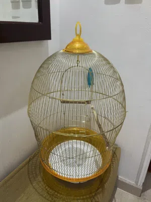 Bird cage big