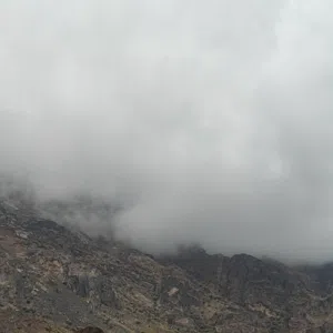 محمد المحاربي 