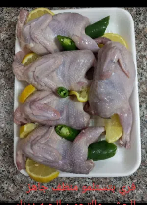 فري مذبوح منظف جاهز