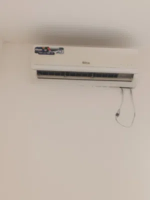 سبلت  البصره