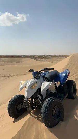 بولاريس ‏فيكتوري ‏2015 ‏1- 250 سي سي