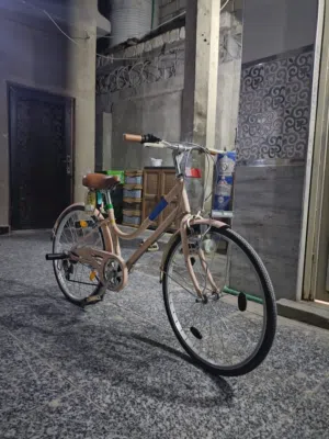 باييسكل حجم24