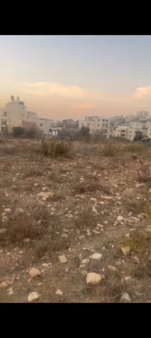 ارض للبيع في شارع الارسال  مساحه 4دونم ونصف
